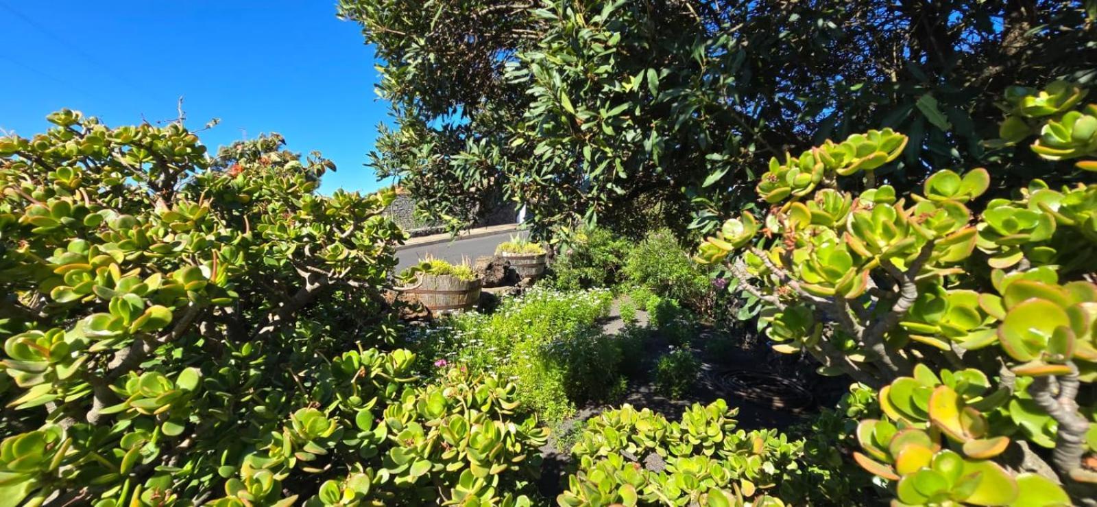 Villa La Bodega Fuencaliente de la Palma Esterno foto